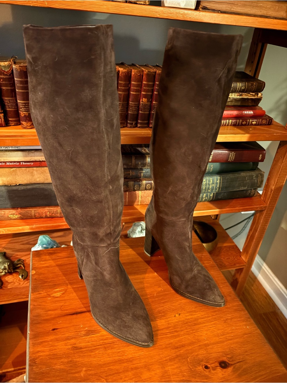 Nine West Dark Brown Suede Plush Knee-High Pointed-Toe Boots